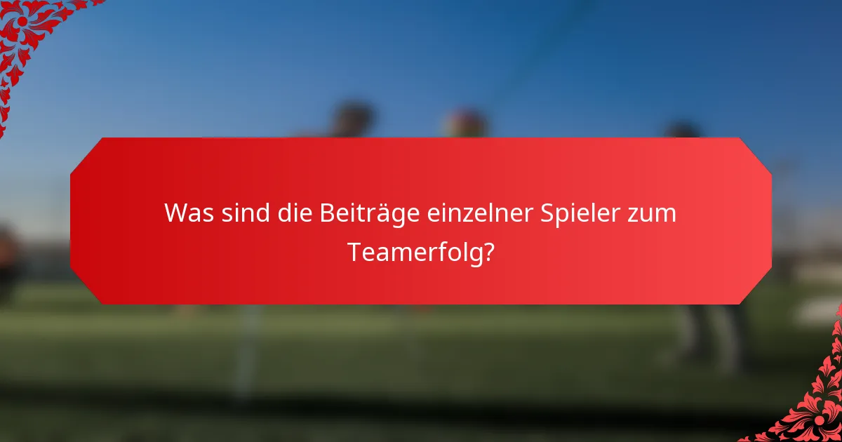 Was sind die Beiträge einzelner Spieler zum Teamerfolg?